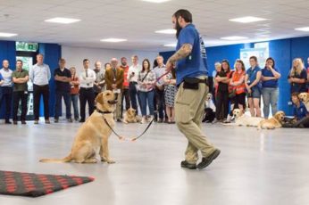 Bostik leads the way with Guide Dogs charity project
